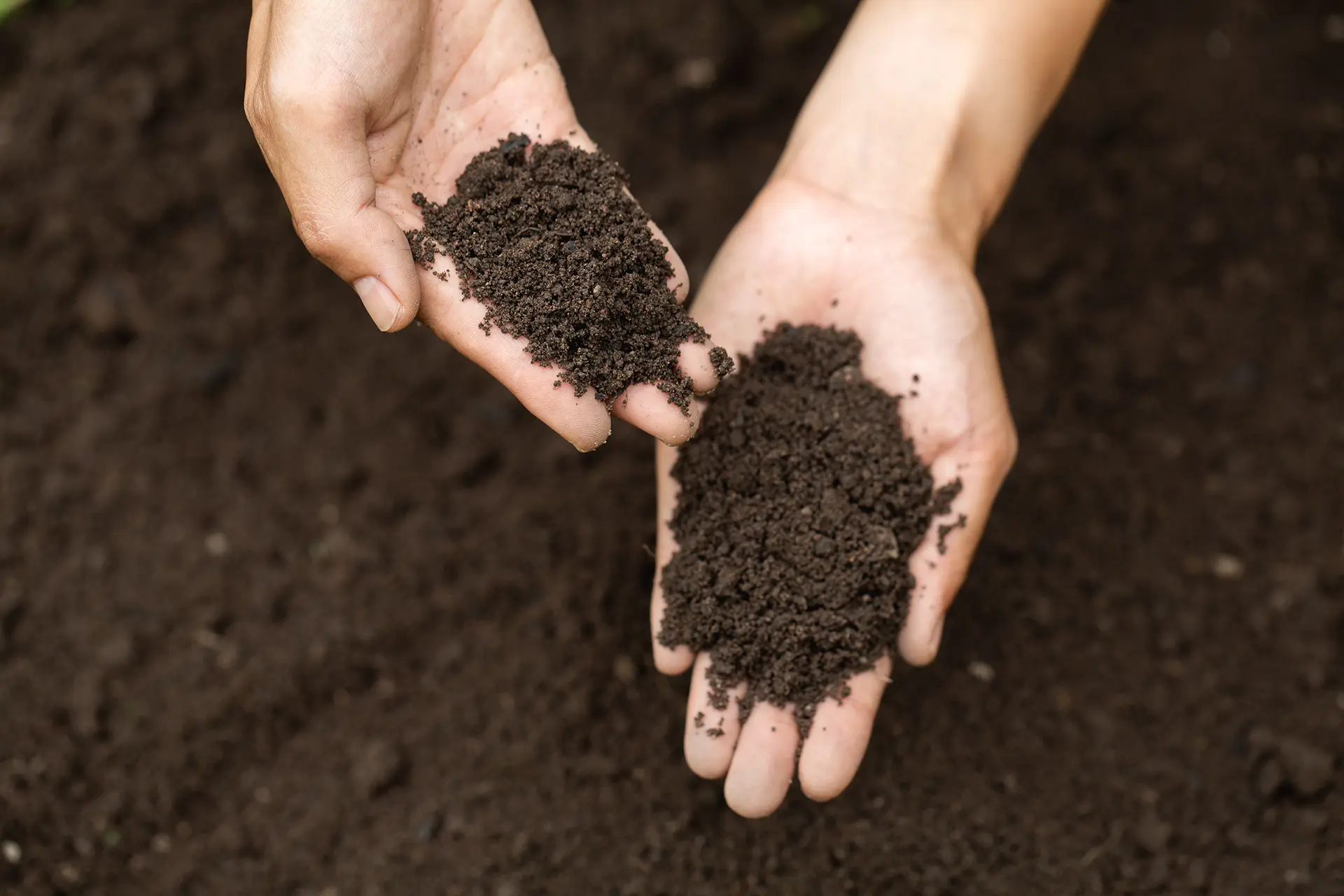 Fresh screened topsoil for final grading in Edmonton