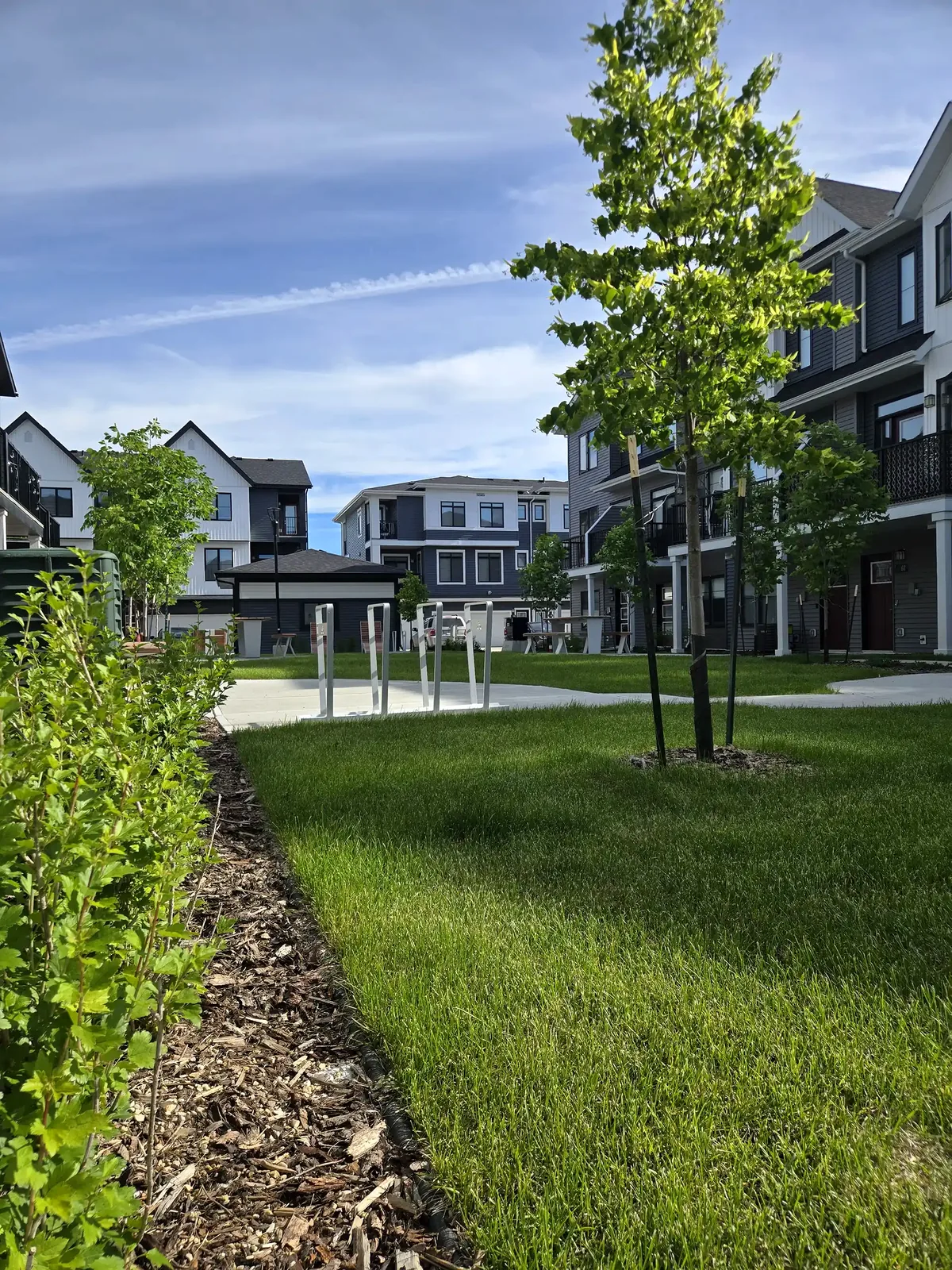 Multi-family townhome landscaping with fresh sod and planting beds in Edmonton